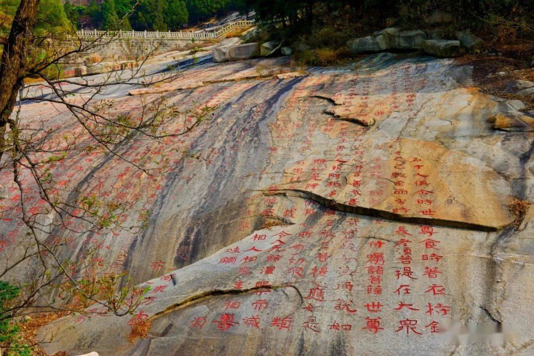 为什么恋爱进展得太快反而不好呢?-全球专业问答社区